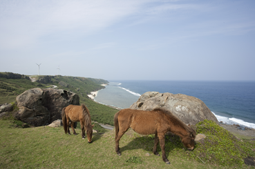 与那国島